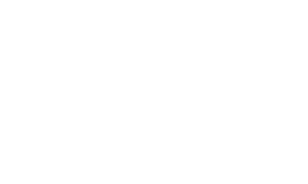 The Pulse